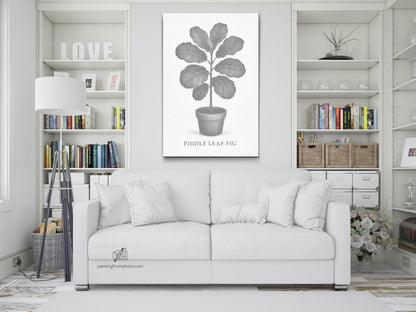 Mal-med-prikker -  Fiddle Leaf Fig