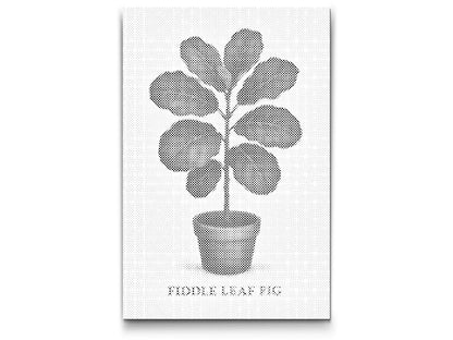 Mal-med-prikker -  Fiddle Leaf Fig