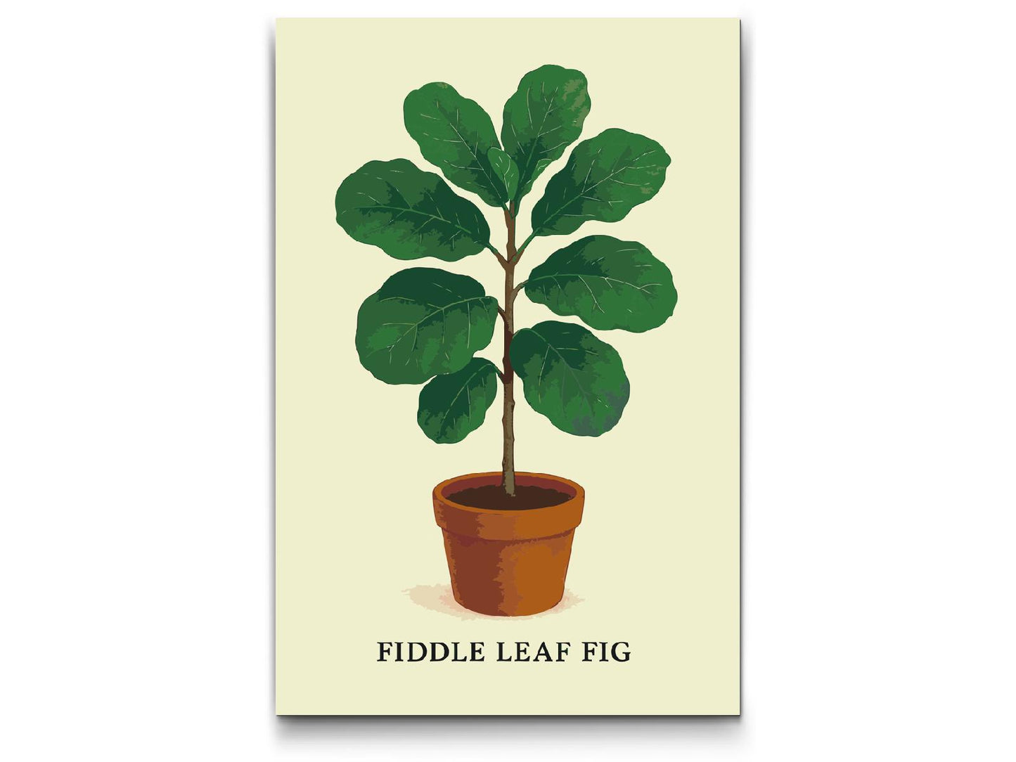 Paint by Numbers - Fiddle Leaf Fig