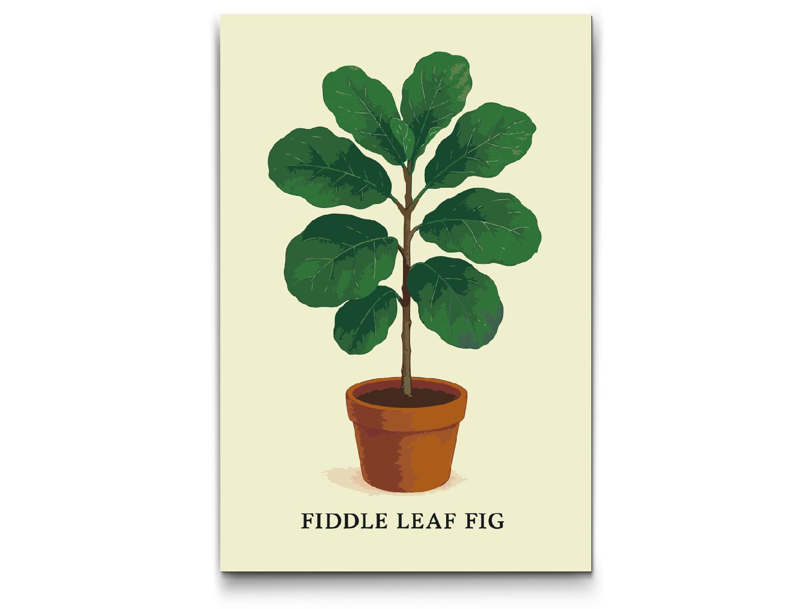 Paint by Numbers - Fiddle Leaf Fig