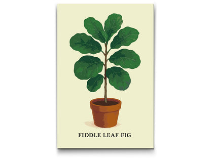 Paint by Numbers - Fiddle Leaf Fig
