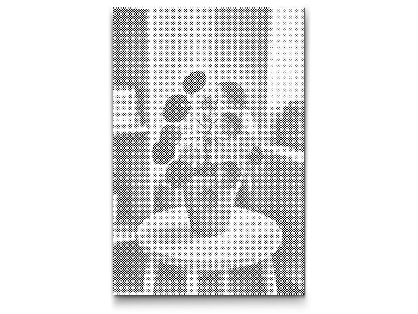Mal-med-prikker -  Pilea peperomioides