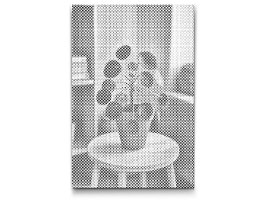 Mal-med-prikker -  Pilea peperomioides