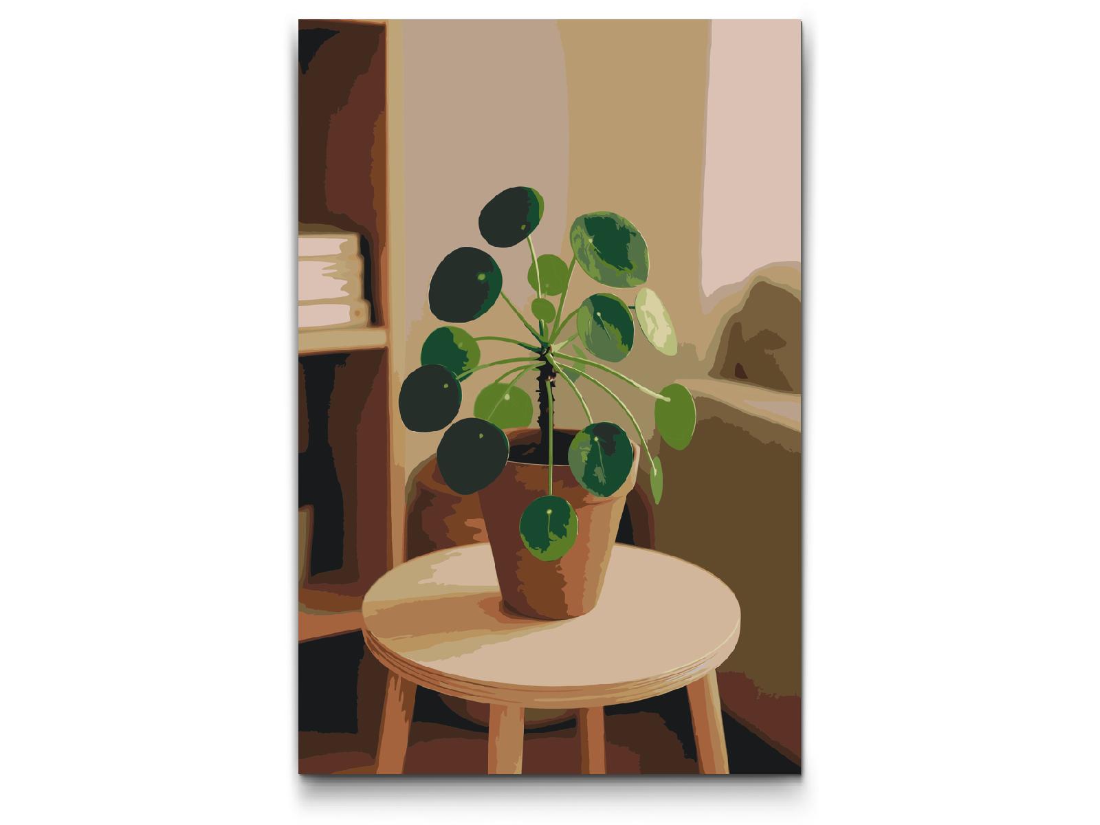 Paint by Numbers - Pilea peperomioides