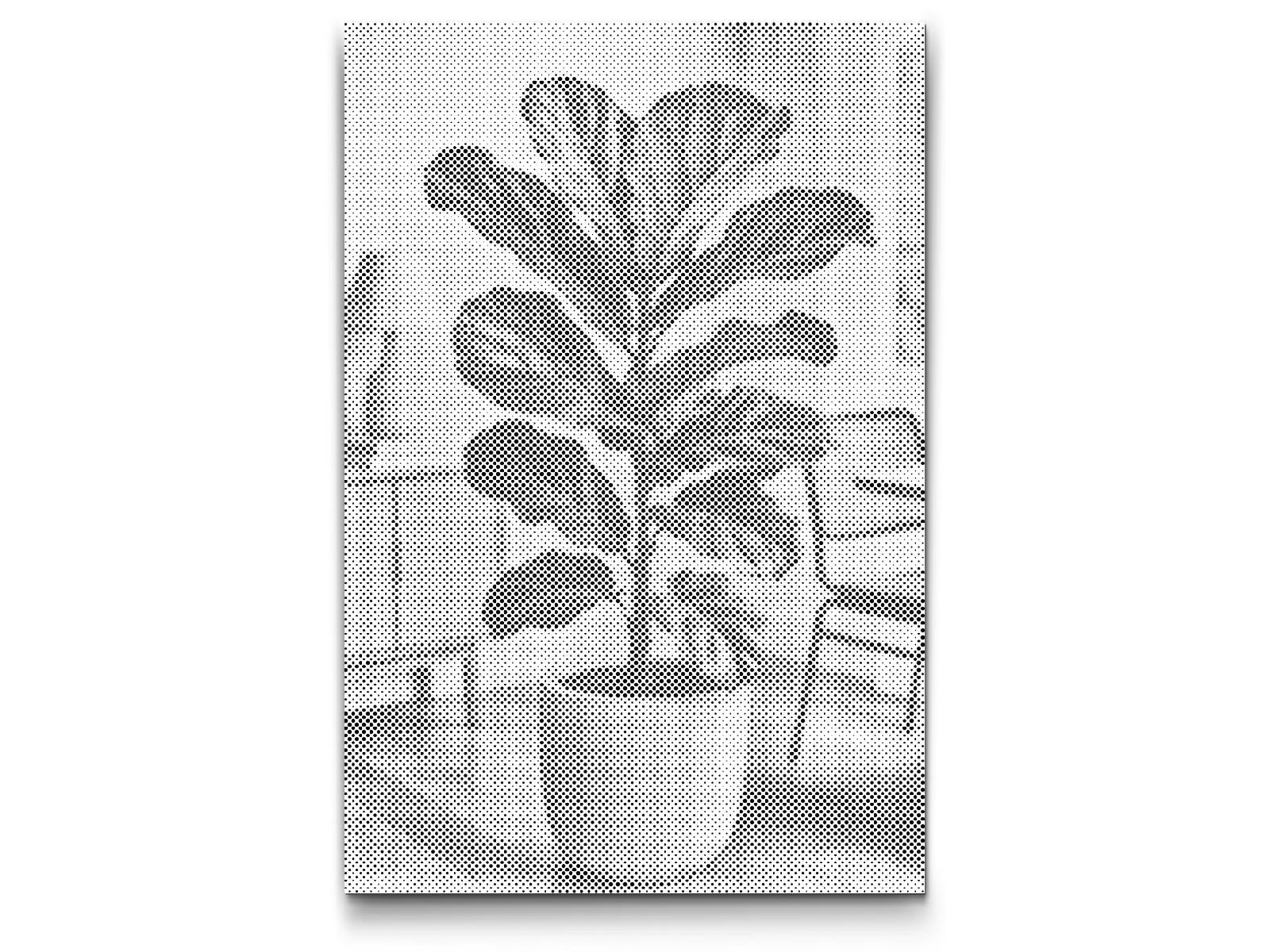 Mal-med-prikker -  Fiddle Leaf Fig
