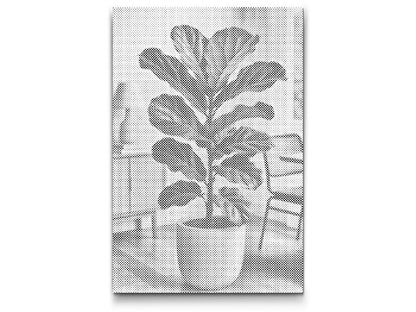 Mal-med-prikker -  Fiddle Leaf Fig