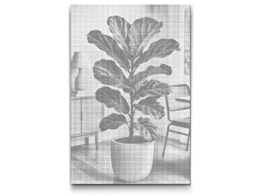 Mal-med-prikker -  Fiddle Leaf Fig