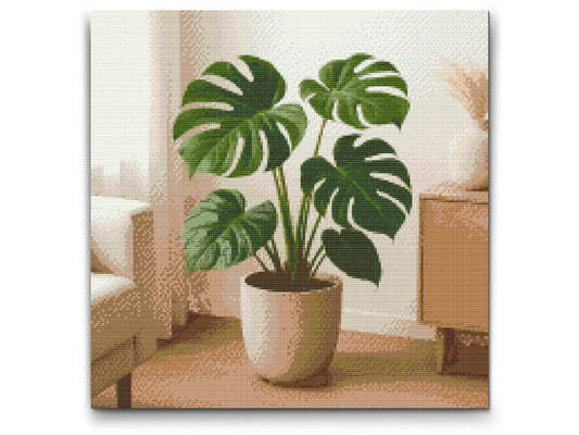 Diamond Painting - Monstera deliciosa