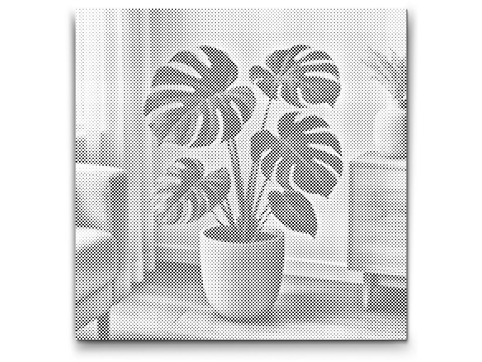 Mal-med-prikker -  Monstera deliciosa
