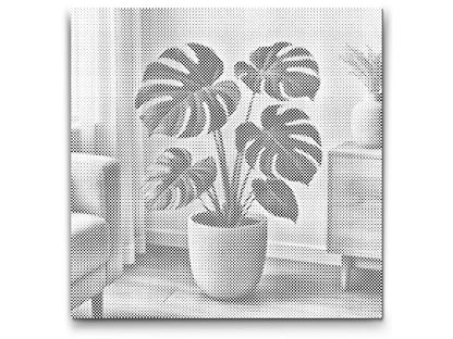 Mal-med-prikker -  Monstera deliciosa