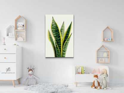 Diamond Painting - Sansevieria (slangeplante)