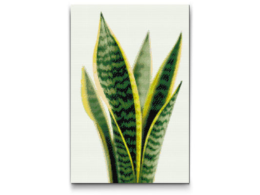 Diamond Painting - Sansevieria (slangeplante)