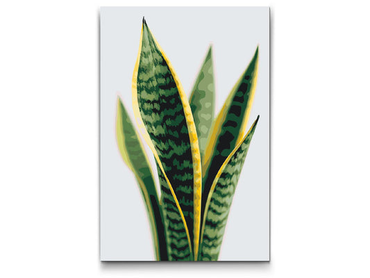 Paint by Numbers - Sansevieria (slangeplante)