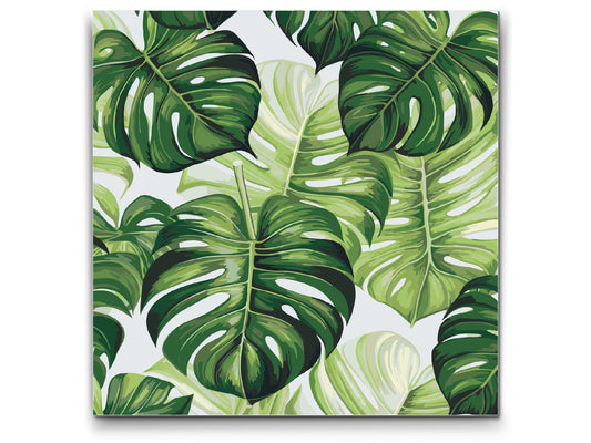 Paint by Numbers - Monstera