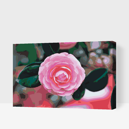 Paint by Numbers - Pink Camellia