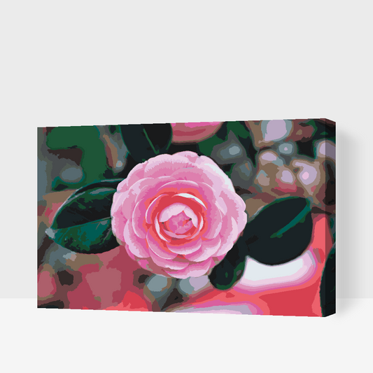 Paint by Numbers - Pink Camellia