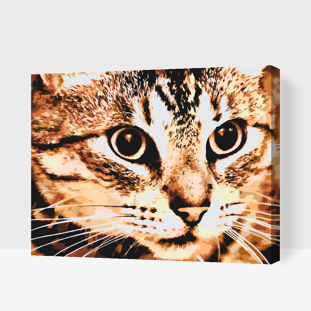 Paint by Numbers - Tiger Cat