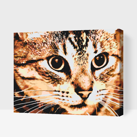 Paint by Numbers - Tiger Cat
