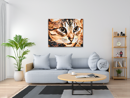 Paint by Numbers - Tiger Cat