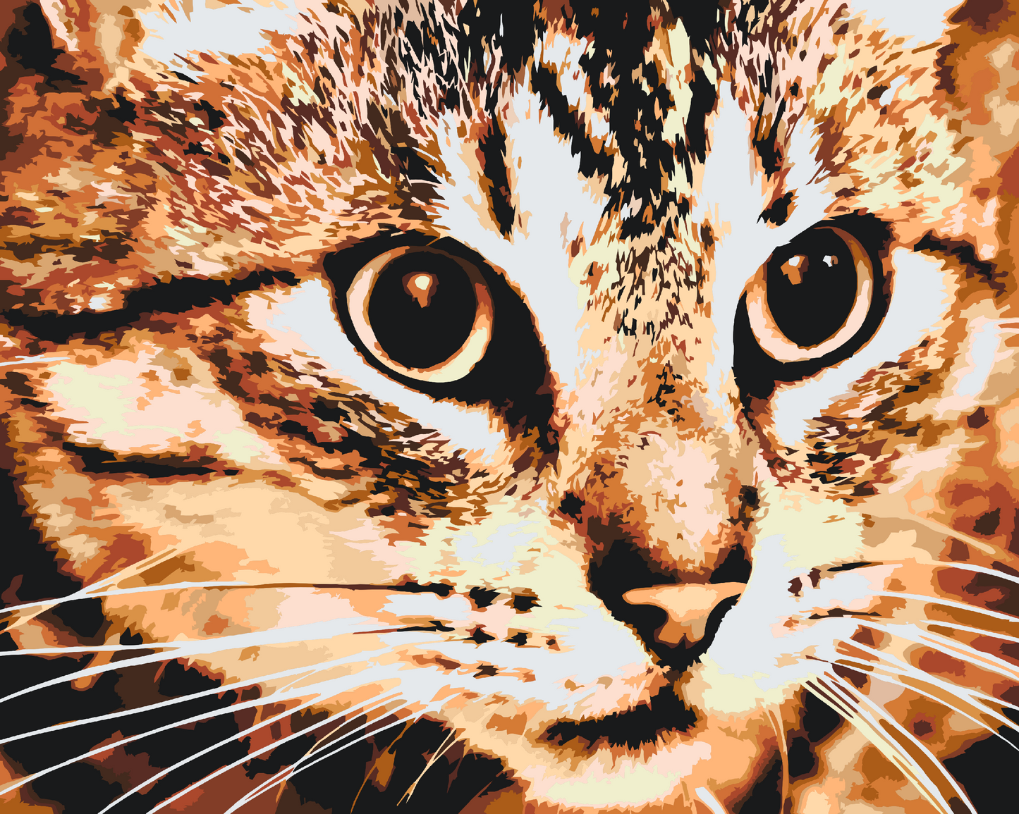 Paint by Numbers - Tiger Cat