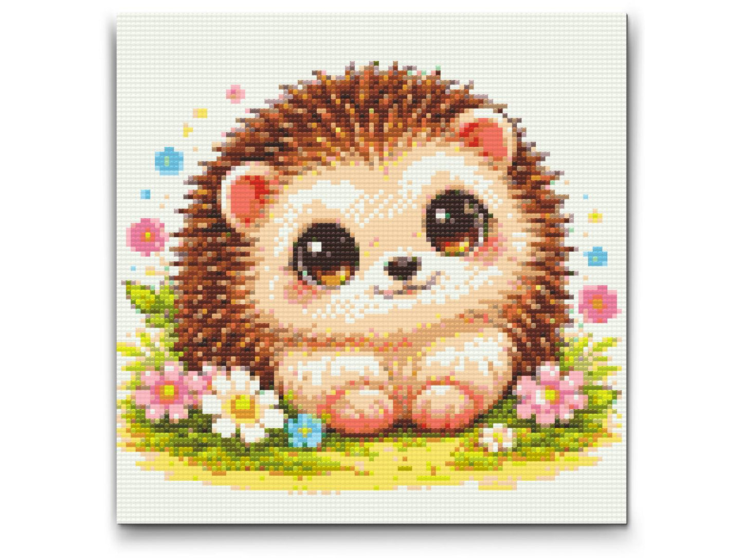 Diamond Painting - Pindsvin med Store Øjne