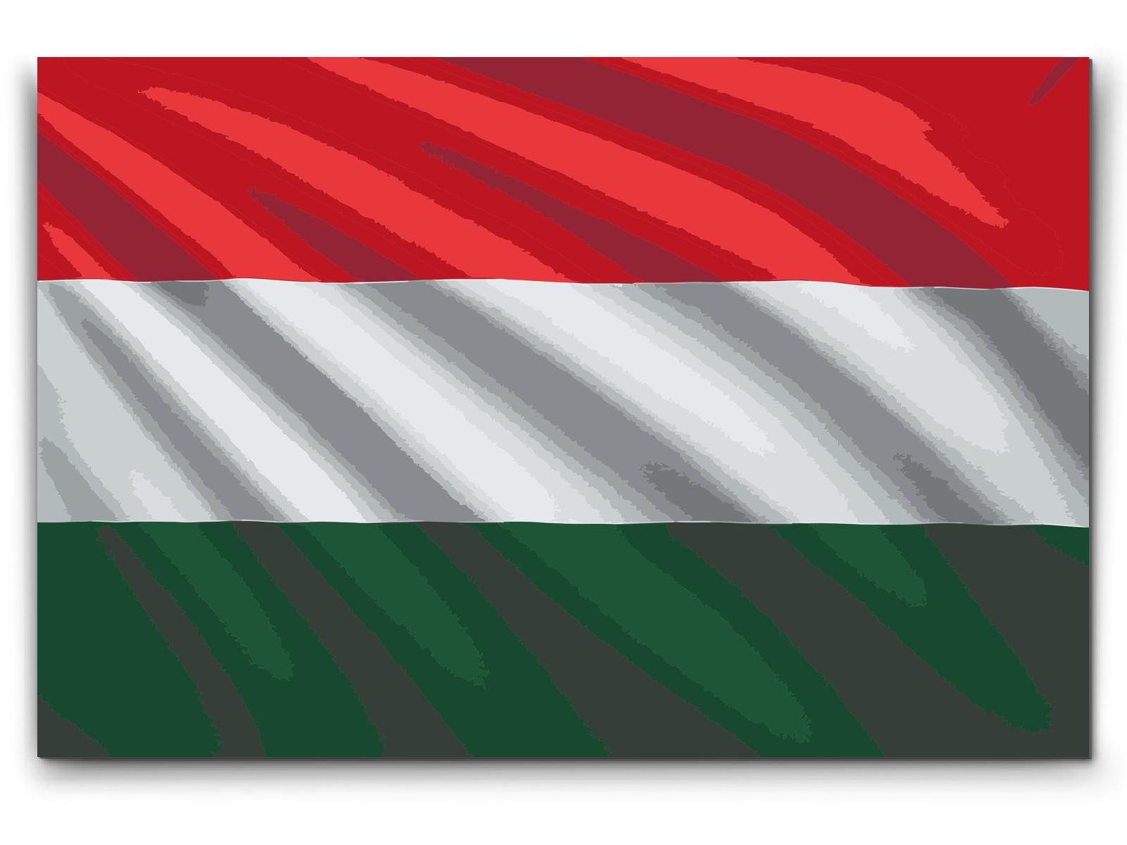 Paint by Numbers - Ungarsk flag