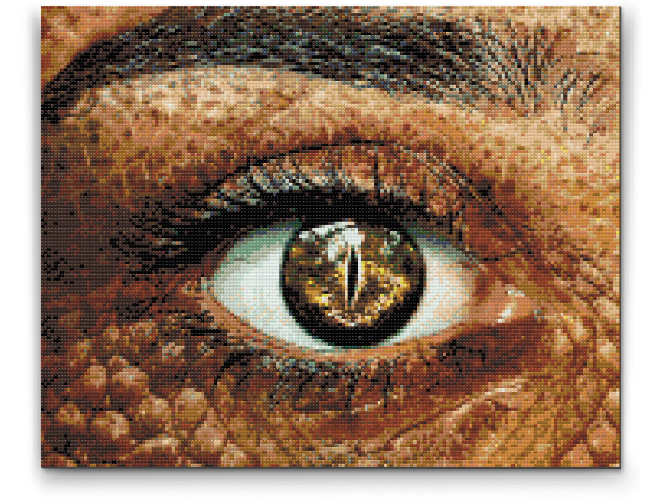 Diamond Painting - Krokodilleøje
