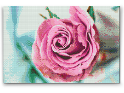 Diamond Painting - Head of Rose