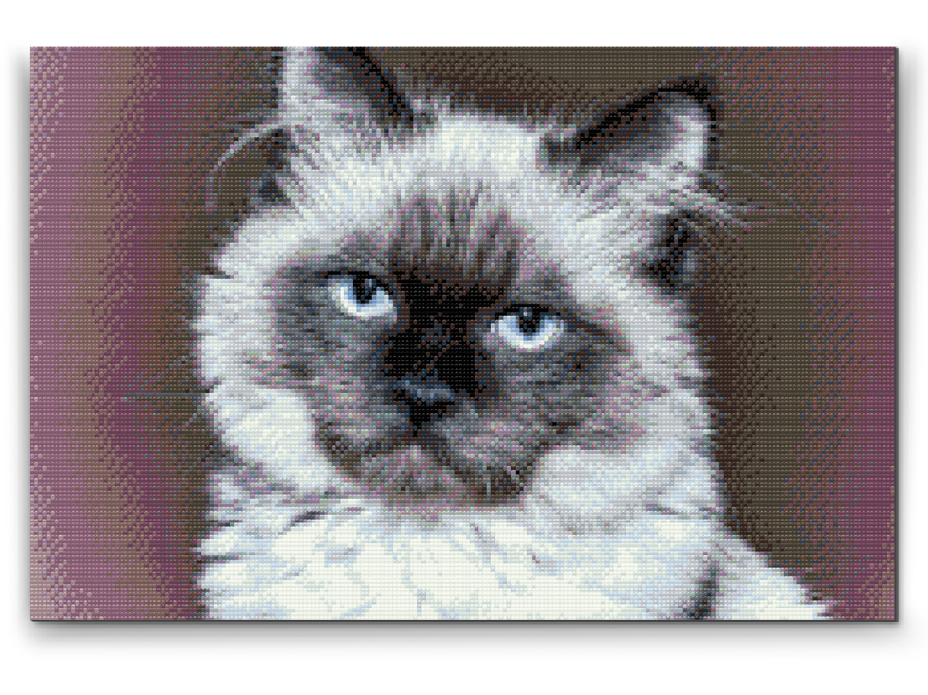 Diamond Painting - Portræt af Cat