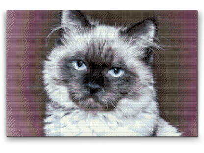 Diamond Painting - Portræt af Cat