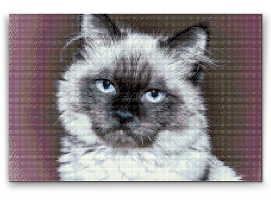 Diamond Painting - Portræt af Cat