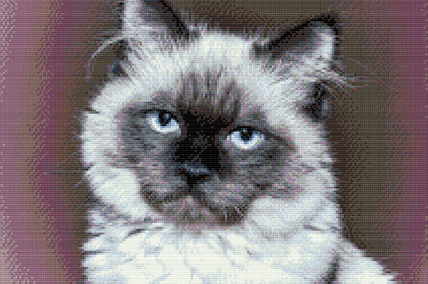 Diamond Painting - Portræt af Cat