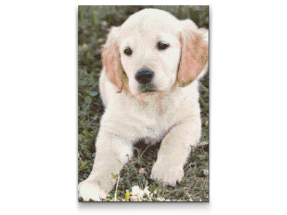 Diamond Painting - Labrador Puppy