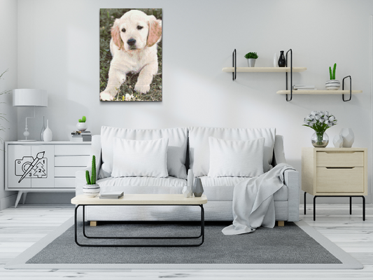 Diamond Painting - Labrador Puppy