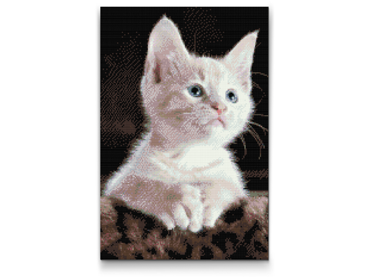Diamond Painting - Hvid Kat