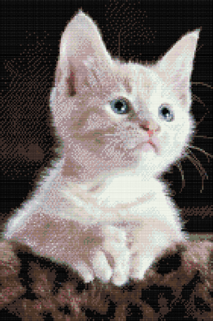 Diamond Painting - Hvid Kat
