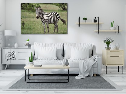Diamond Painting - Zebra i naturen