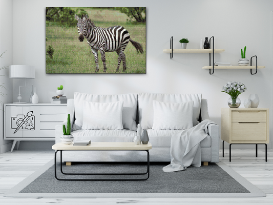 Diamond Painting - Zebra i naturen