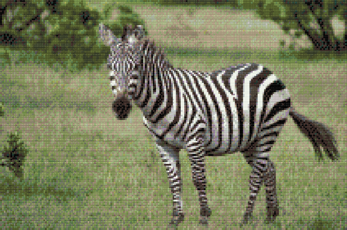 Diamond Painting - Zebra i naturen