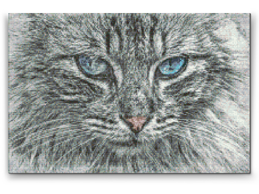 Diamond Painting - Katteportræt
