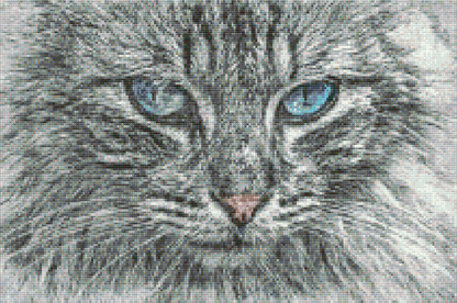 Diamond Painting - Katteportræt