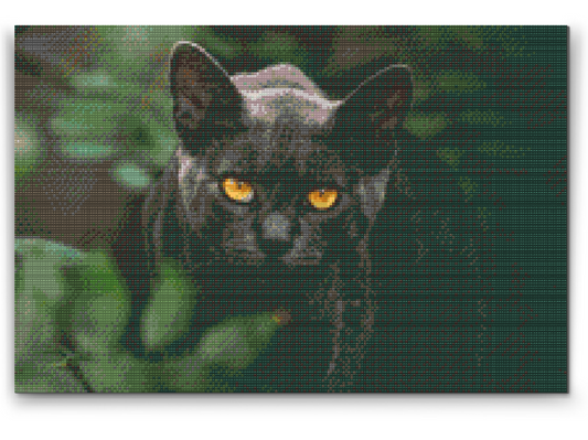 Diamond Painting - Sort Kat