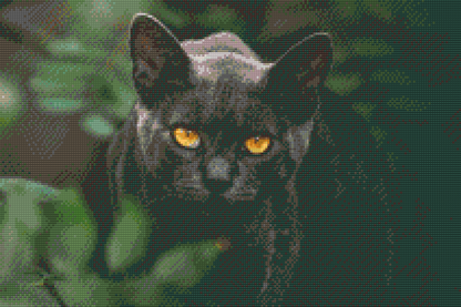 Diamond Painting - Sort Kat