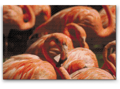 Diamond Painting - Flamingos 2