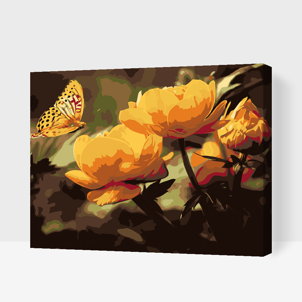 Paint by Numbers - Sommerfugl med blomster