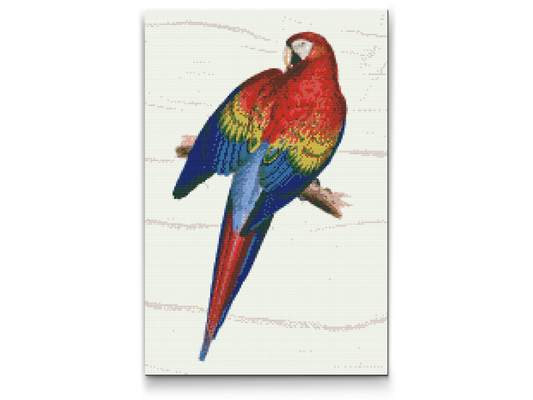 Diamond Painting - Vintage Parrot 2