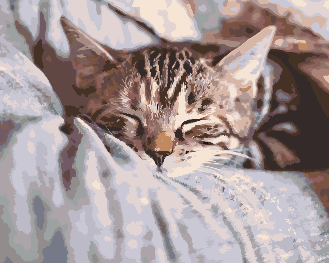 Paint by Numbers - Sleeping Kitty