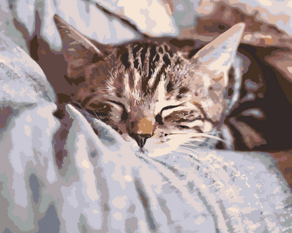 Paint by Numbers - Sleeping Kitty