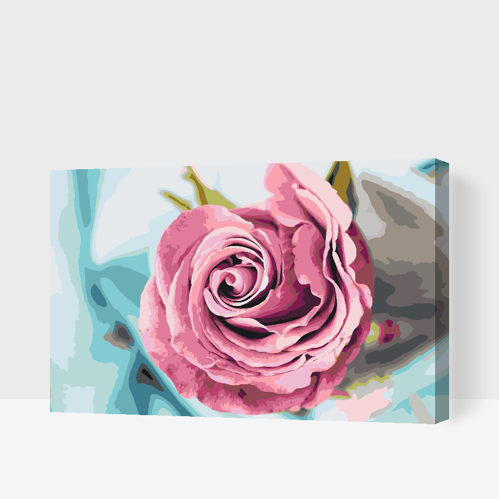Paint by Numbers - Head of Rose
