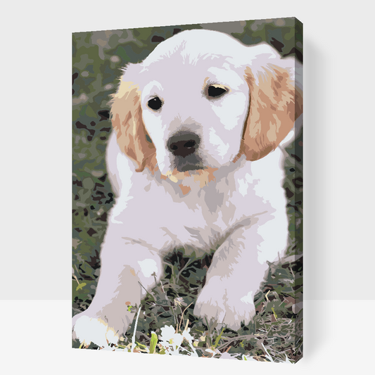 Paint by Numbers - Labrador Puppy